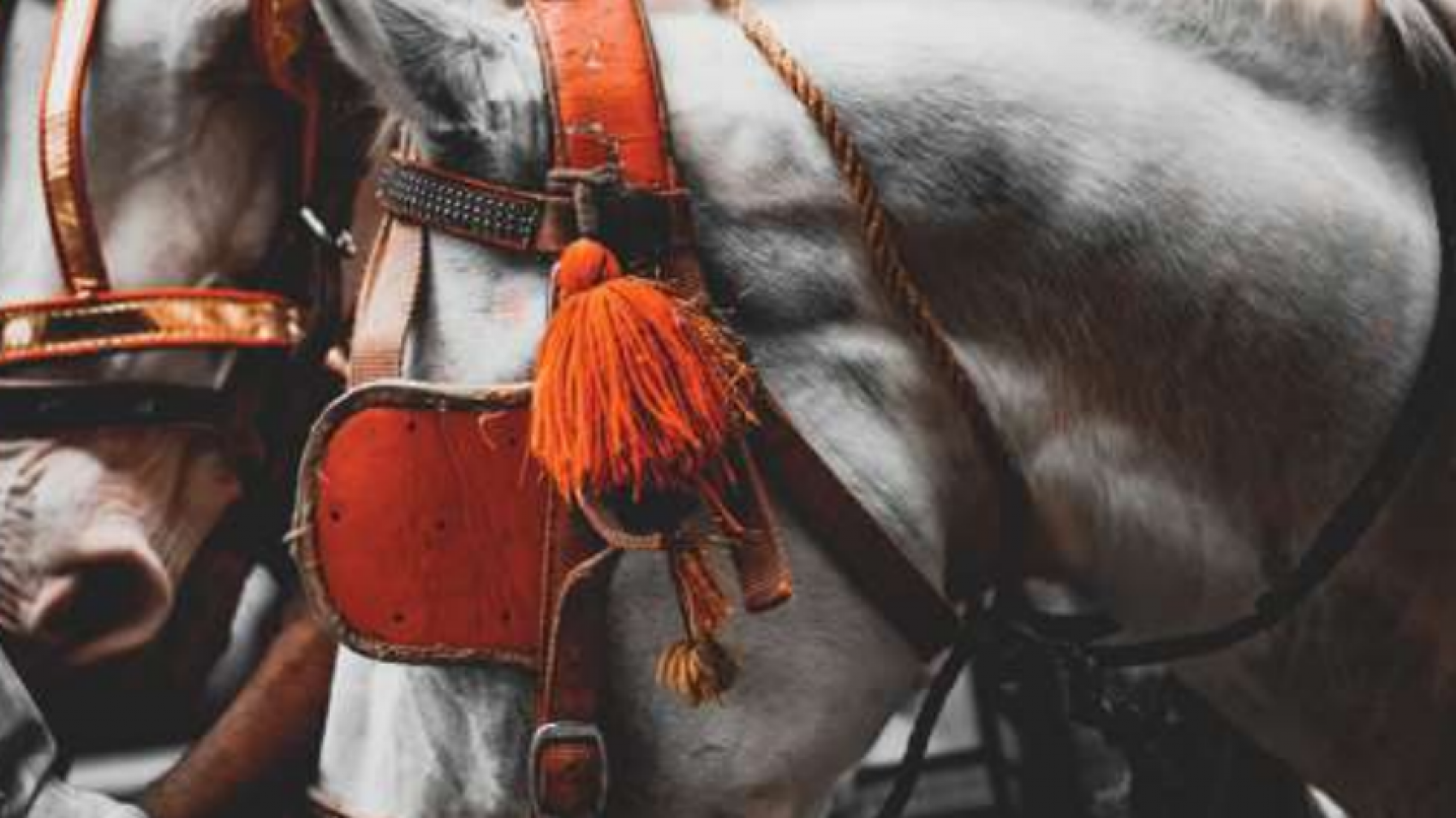 Capture d’écran (1699)